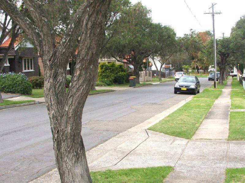 16  Finch Avenue, Concord NSW 2137