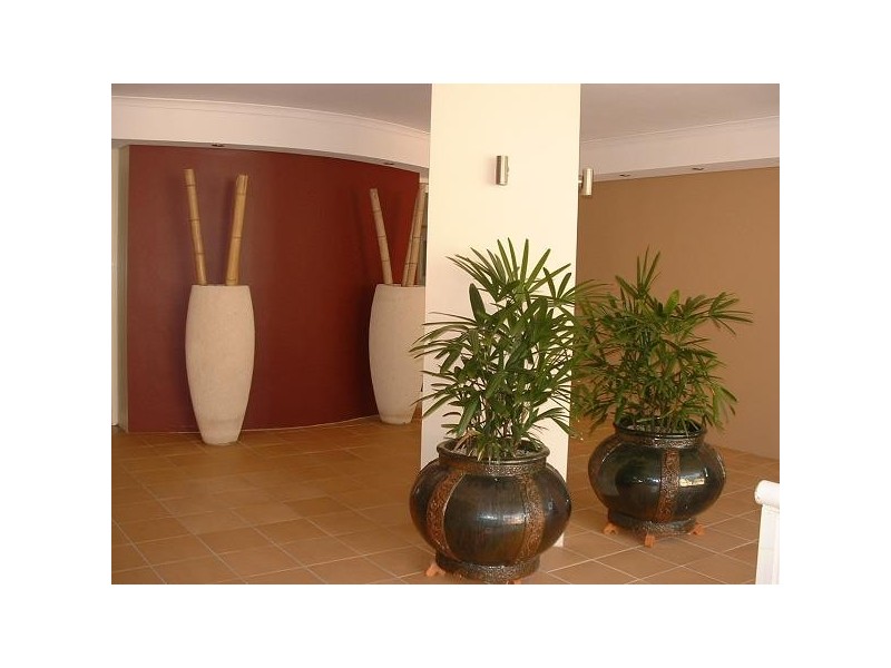 2E/162  Burwood Road, Concord NSW 2137