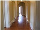 2  Park Ave, Concord NSW 2137
