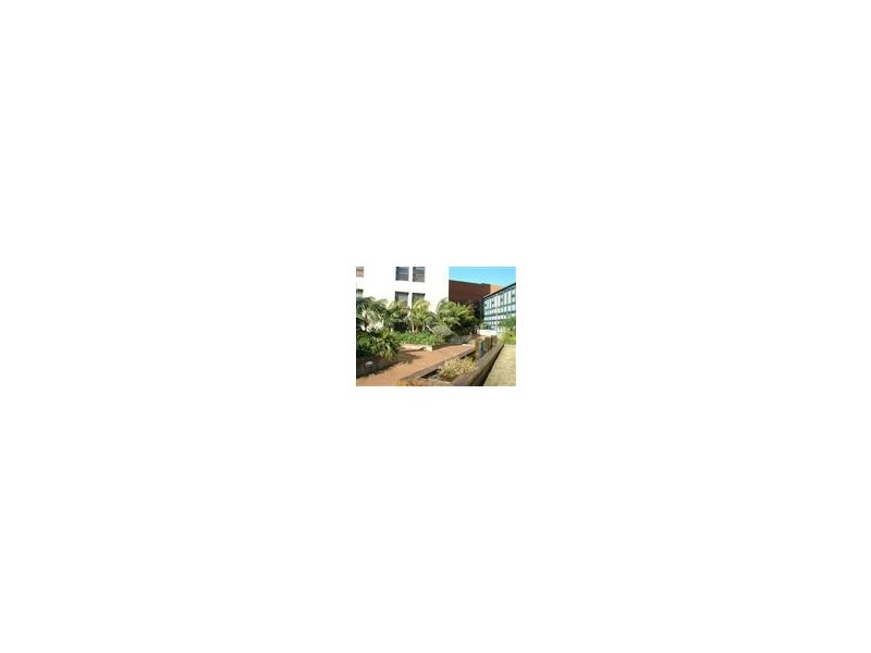 19a/1/2  Cardigan Lane, Camperdown NSW 2050