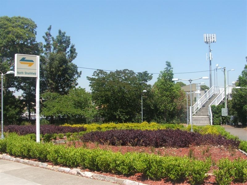 103  Queen Street, North Strathfield NSW 2137