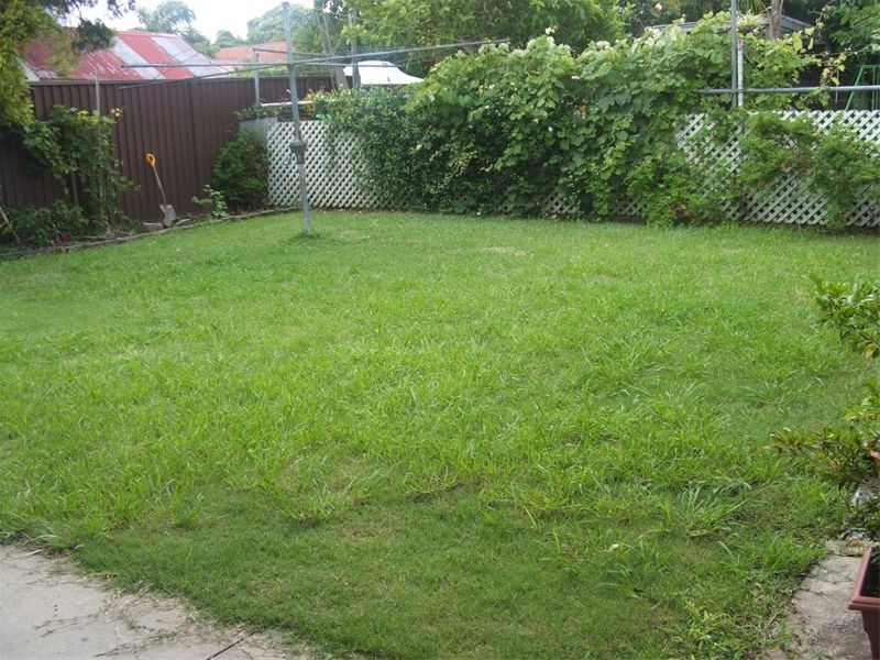 81  Correys Ave, Concord NSW 2137