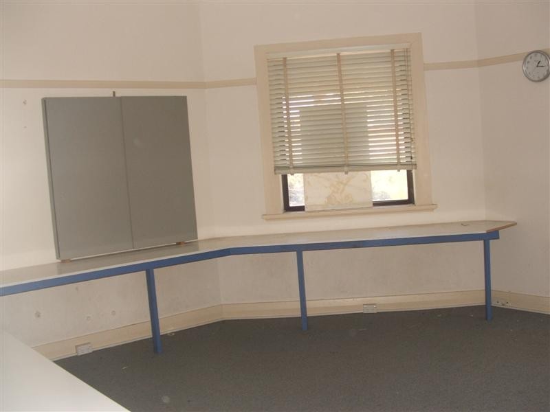 Level 1 219  Concord, North Strathfield NSW 2137