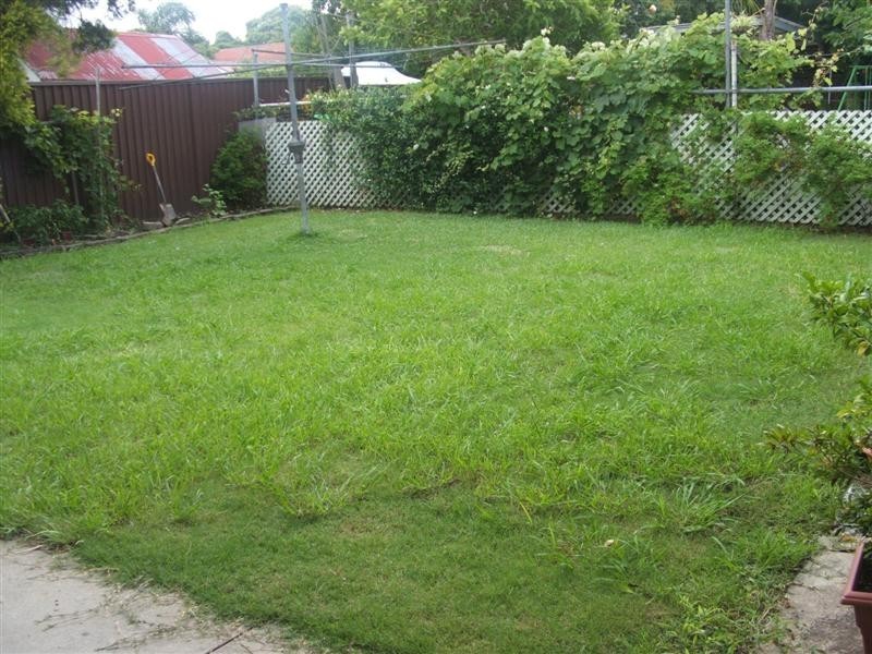 81  Correys Ave, Concord NSW 2137