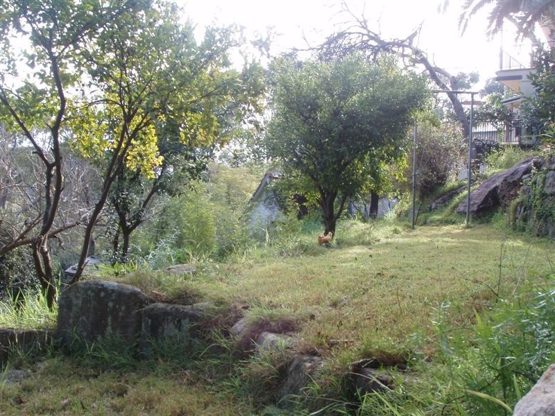 11 Jannali Crescent, Jannali NSW 2226