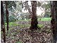 Lot 72 McGilp Road, One Tree Hill SA 5114