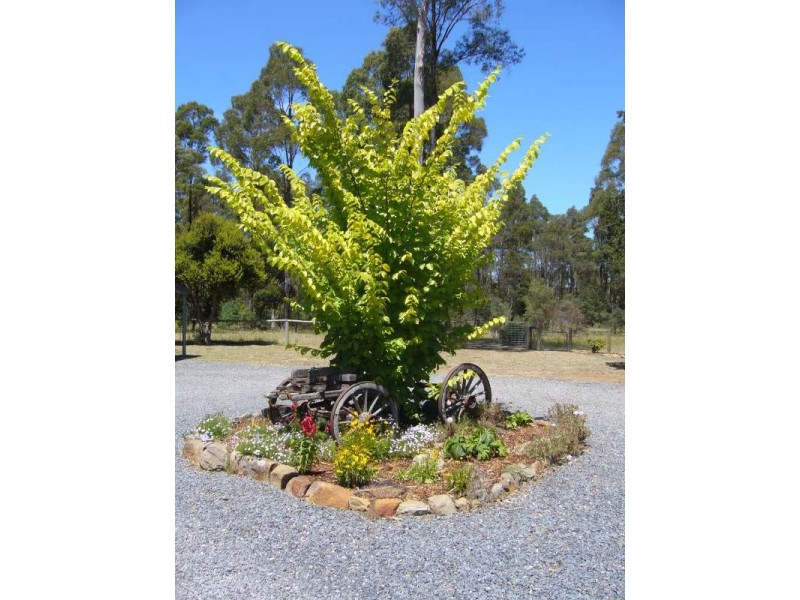 1093  Bridgenorth Road, Bridgenorth TAS 7277