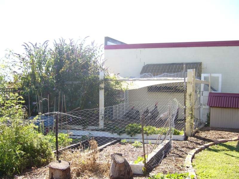 8  Freeland Cresent, Riverside TAS 7250