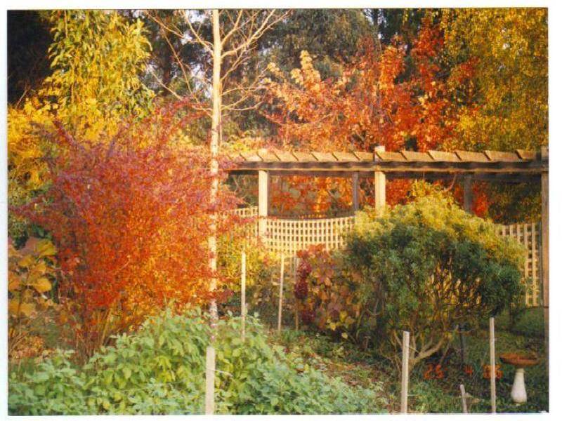13515 Lake Highway, Golden Valley TAS 7304