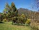 13515 Lake Highway, Golden Valley TAS 7304