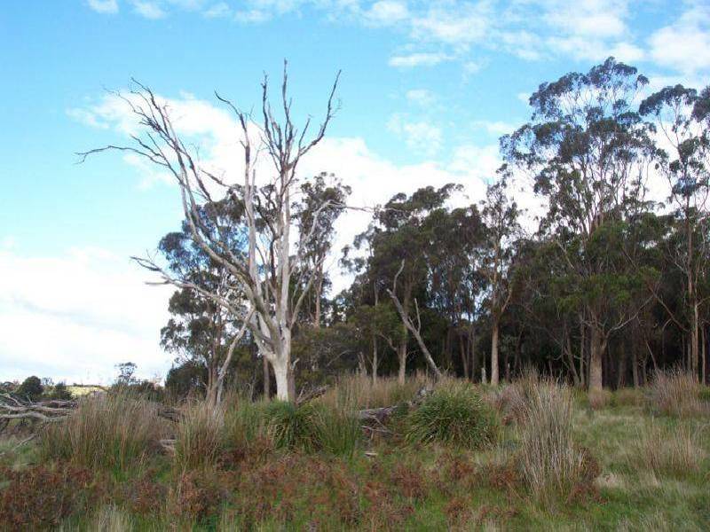 Lot 3 Old Bangor Tram Road, Mount Direction TAS 7252