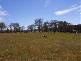 Lot 1 Whites Road, Beaconsfield TAS 7270