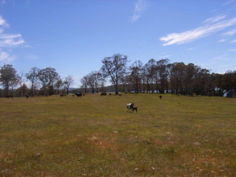 Lot 1 Whites Road, Beaconsfield TAS 7270