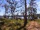 Lot 1 Whites Road, Beaconsfield TAS 7270