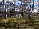 Lot 1 Whites Road, Beaconsfield TAS 7270