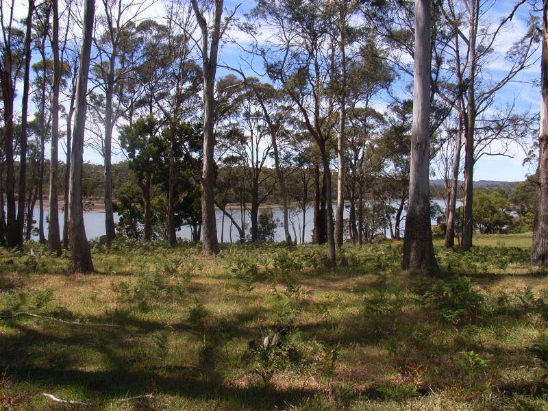 Lot 1 Whites Road, Beaconsfield TAS 7270