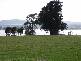 259   Bevic Road, Clarence Point TAS 7270