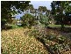259   Bevic Road, Clarence Point TAS 7270