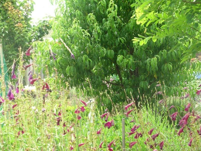 65  Main Road, Exeter TAS 7275