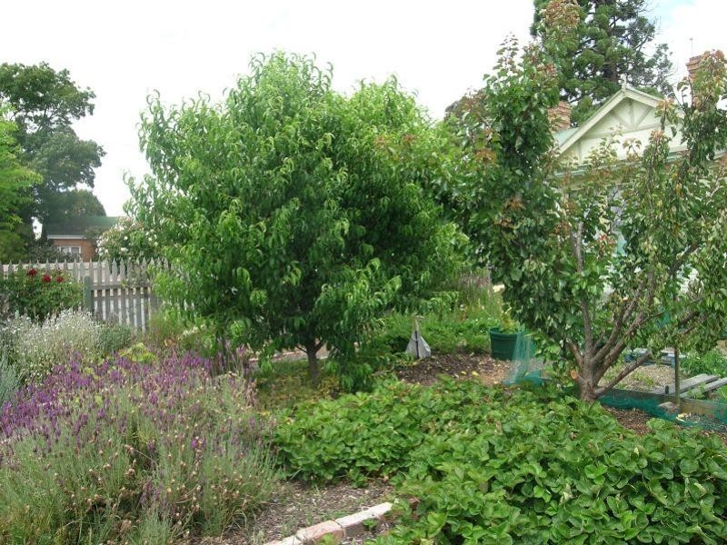 65  Main Road, Exeter TAS 7275