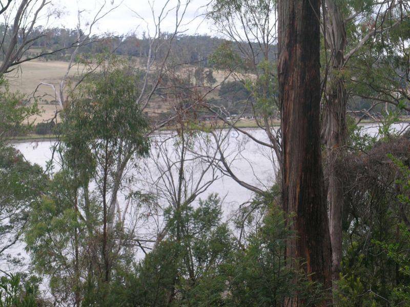 323 Rosevears Drive, Rosevears TAS 7277