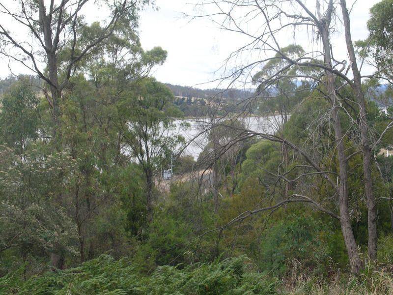 323 Rosevears Drive, Rosevears TAS 7277