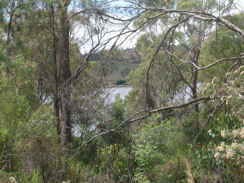 323 Rosevears Drive, Rosevears TAS 7277