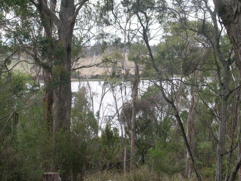 323 Rosevears Drive, Rosevears TAS 7277