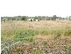Lot 2   Winkliegh Road, Exeter TAS 7275