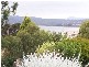 348 Gravelly Beach Road, Gravelly Beach TAS 7276