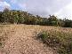 19 Bolton Street, Beaconsfield TAS 7270