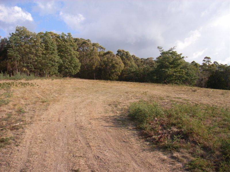 19 Bolton Street, Beaconsfield TAS 7270