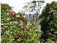48  Beach Road, Legana TAS 7277