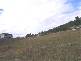 53  Crowther Street, Beaconsfield TAS 7270