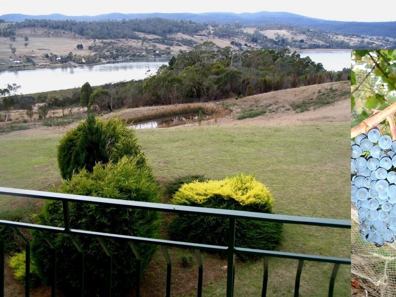 1824 West Tamar Highway, Rosevears TAS 7277