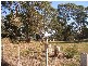 120  Glendale Road, Sidmouth TAS 7270