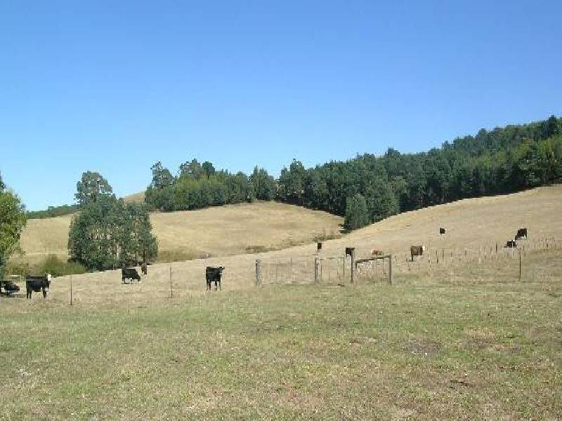 170 Stewarts Road, Winkleigh TAS 7275