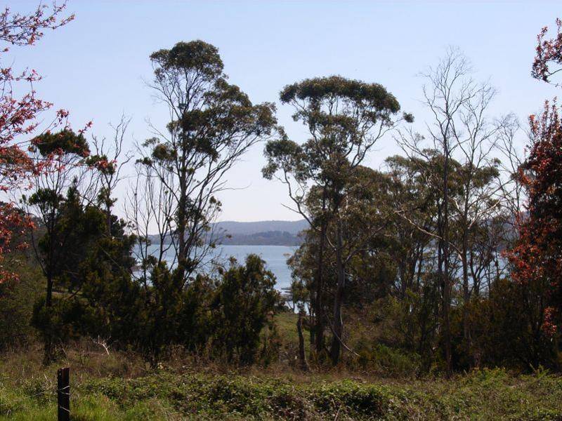 675 Rowella Road, Rowella TAS 7270