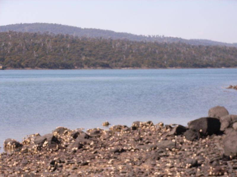 675 Rowella Road, Rowella TAS 7270