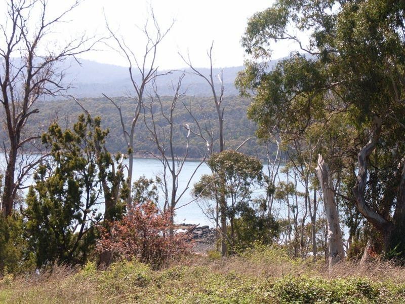 675 Rowella Road, Rowella TAS 7270