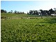 32 Sunset Boulevard, Clarence Point TAS 7270