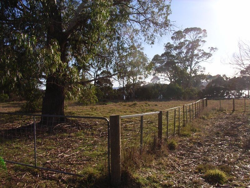 118  Deviot Road, Robigana TAS 7275
