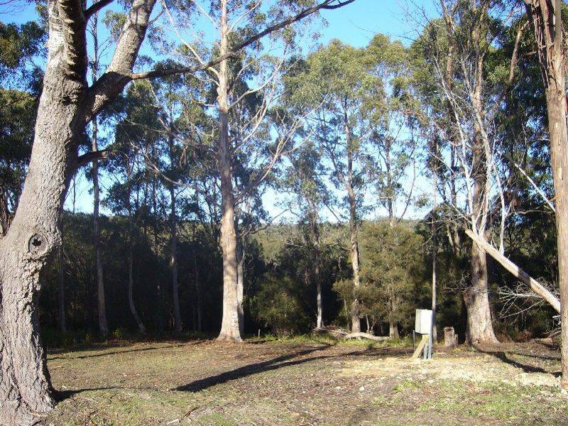 3 Richards Street, Lefroy TAS 7252