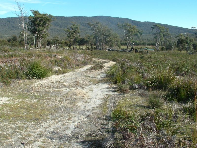 300 Badger Head Road,, Badger Head TAS 7270