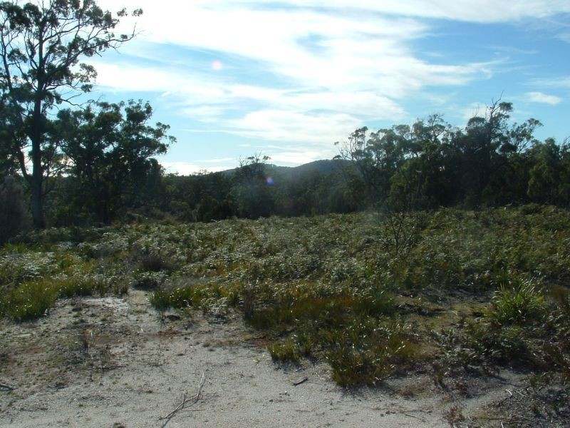 300 Badger Head Road,, Badger Head TAS 7270