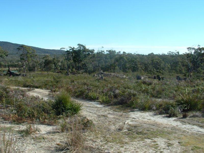 300 Badger Head Road,, Badger Head TAS 7270