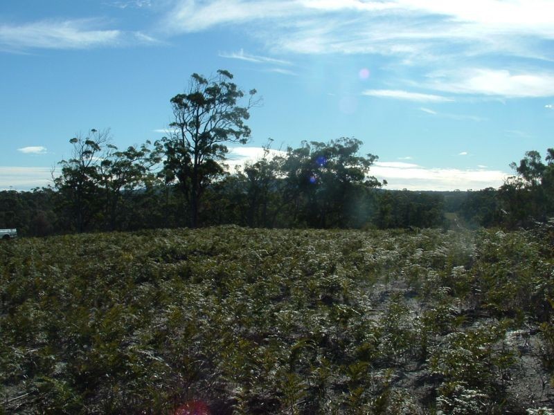 300 Badger Head Road,, Badger Head TAS 7270