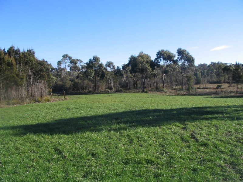 6  Badger Head Road,, Badger Head TAS 7270