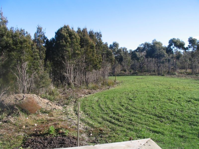 6  Badger Head Road,, Badger Head TAS 7270