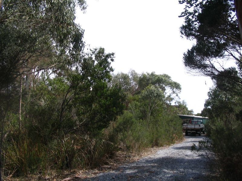 2 Ocean View Drive, Greens Beach TAS 7270